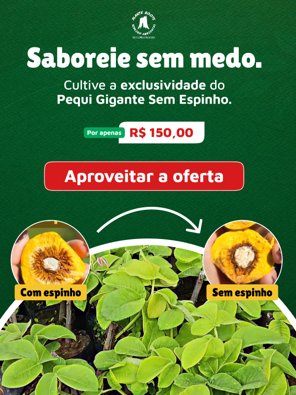 viveiro-ambiental-pequi-gigante-sem-espinhos